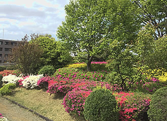 庭園の写真