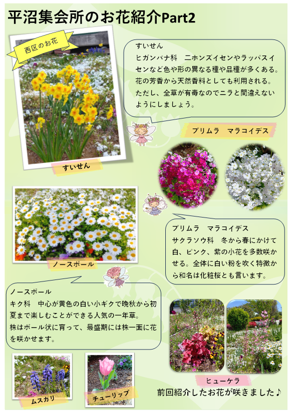 庭園のお花紹介 その２
